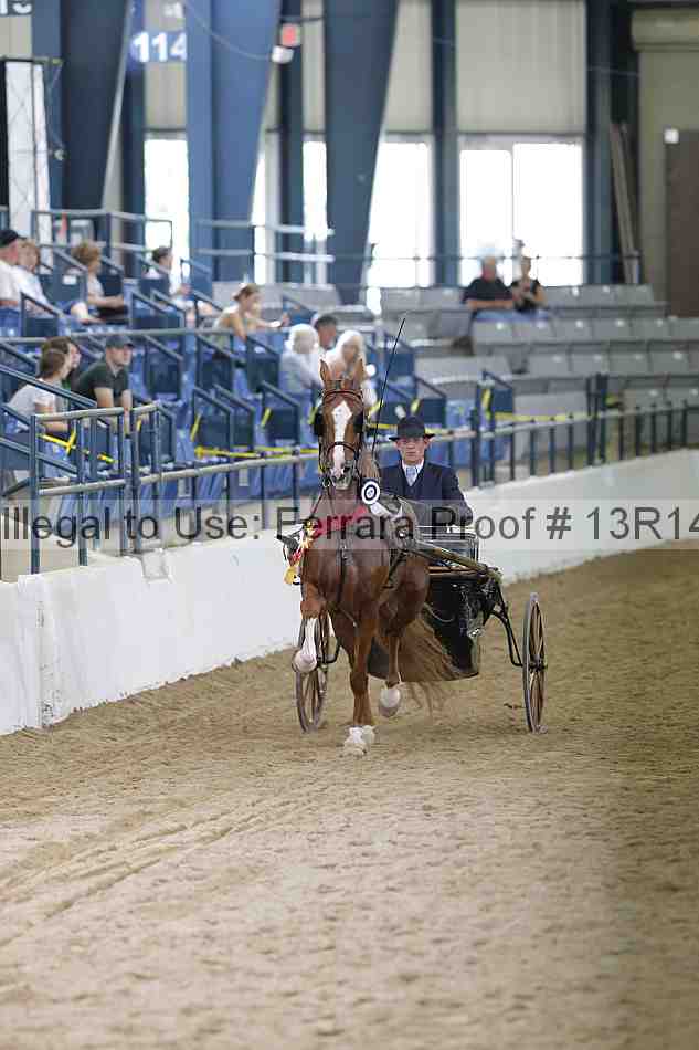 Proof 13r14_4572