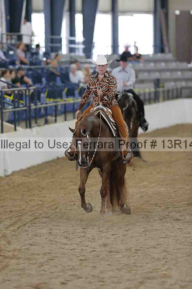 Proof 13r14_4589