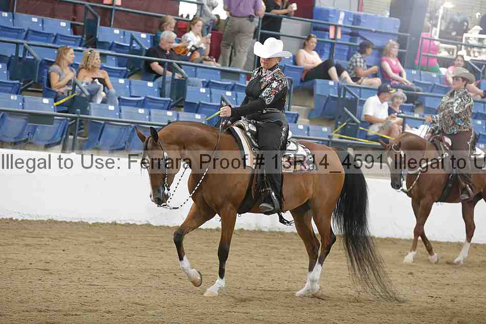 Proof 13r14_4591