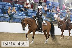 13r14_4591 proof