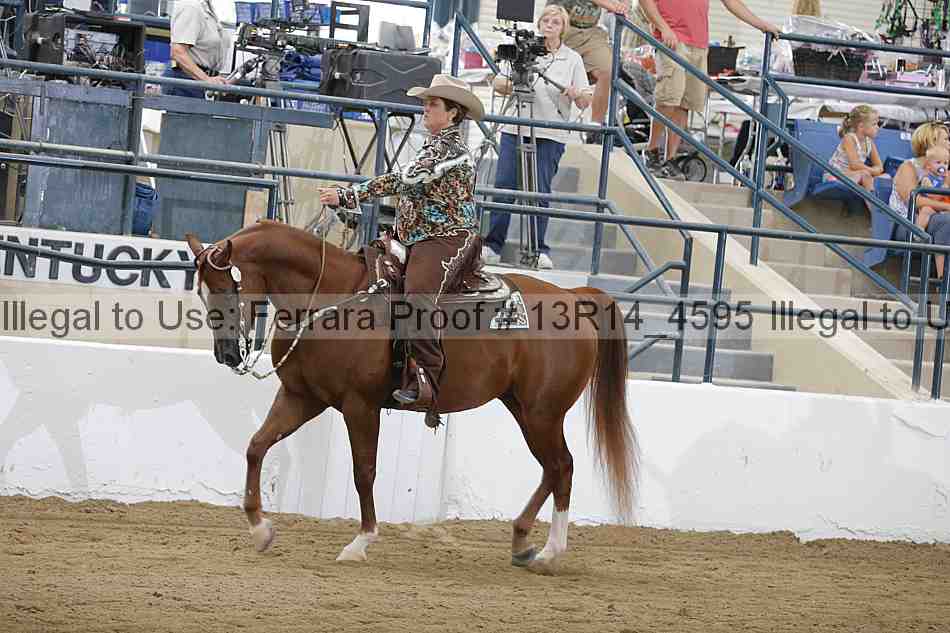 Proof 13r14_4595