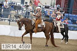 13r14_4599 proof