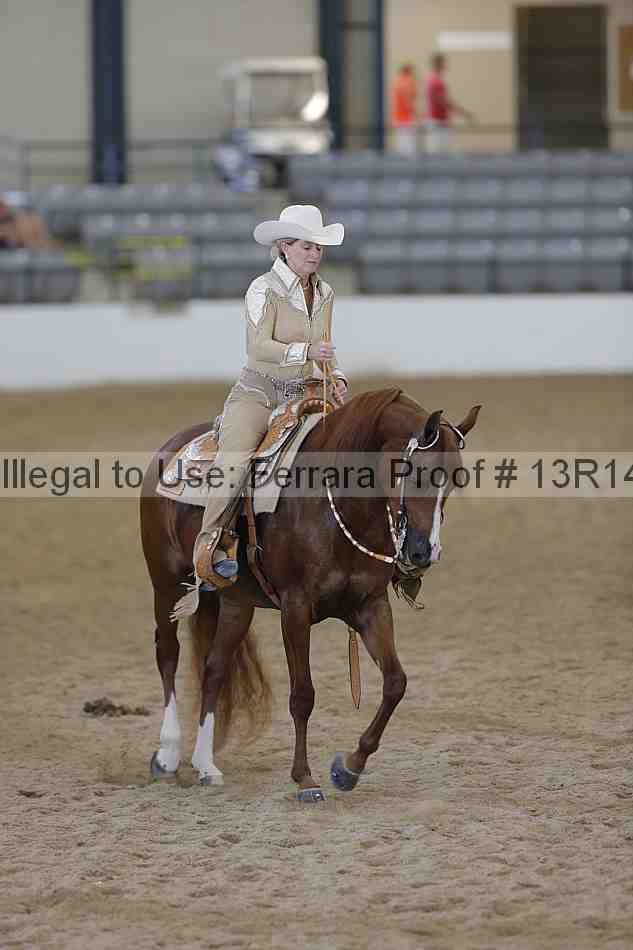 Proof 13r14_4600
