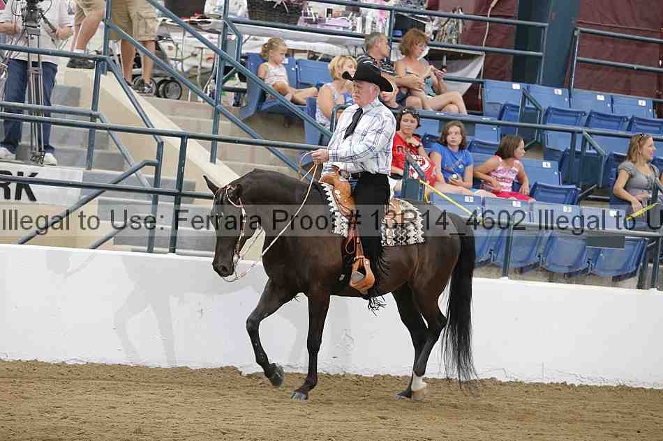 Proof 13r14_4602