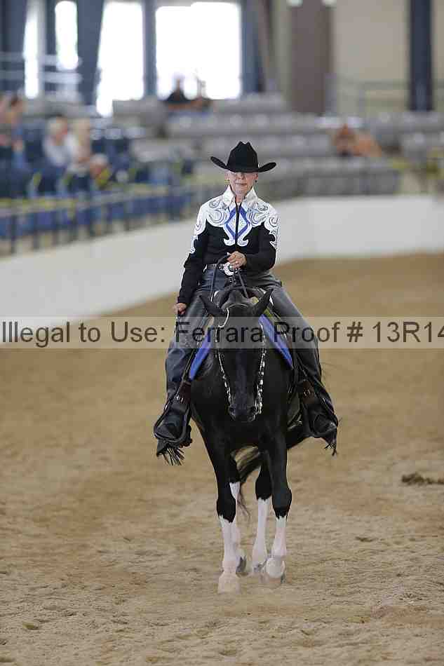 Proof 13r14_4603
