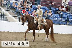 13r14_4606 proof