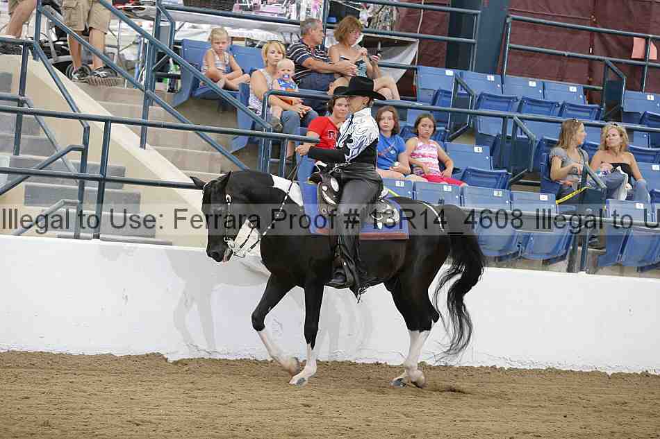 Proof 13r14_4608