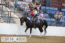 13r14_4608 proof