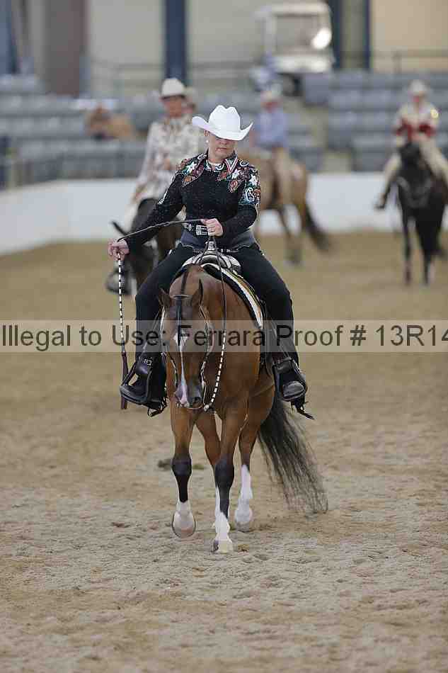 Proof 13r14_4609