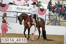 13r14_4618 proof