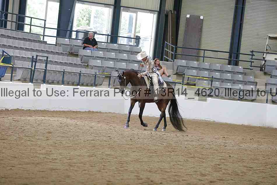 Proof 13r14_4620