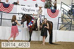 13r14_4623 proof