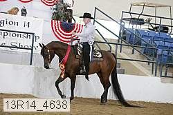 13r14_4638 proof
