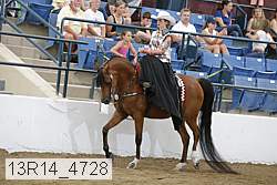 13r14_4728 proof
