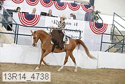 13r14_4738 proof