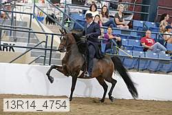 13r14_4754 proof