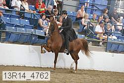 13r14_4762 proof