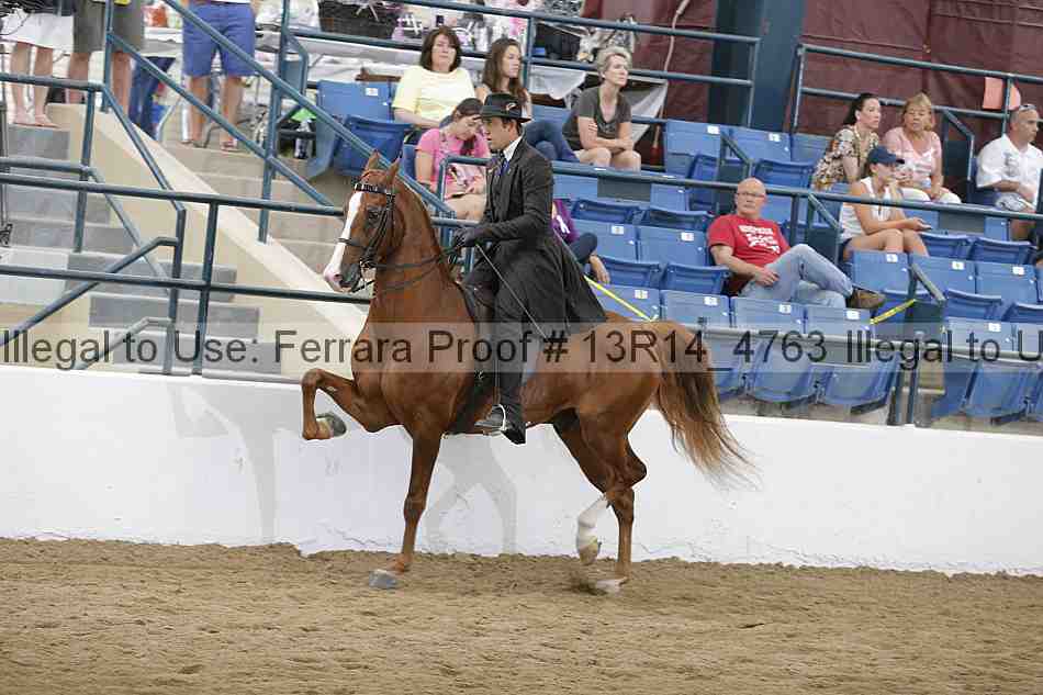 Proof 13r14_4763