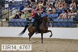 13r14_4767 proof