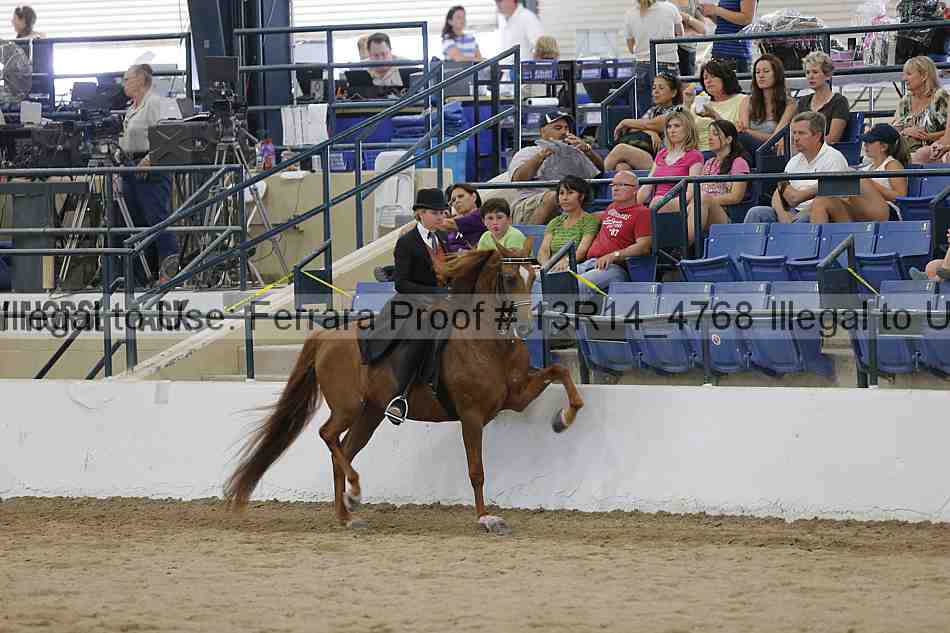 Proof 13r14_4768