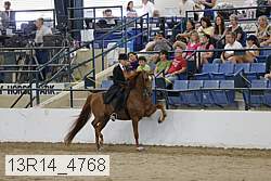 13r14_4768 proof
