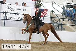 13r14_4774 proof
