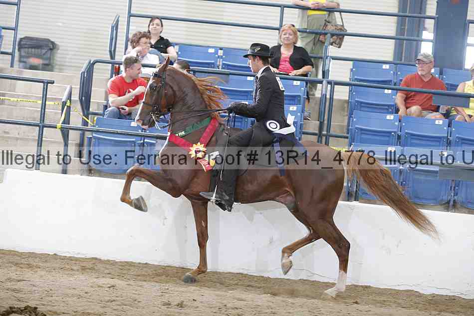 Proof 13r14_4778