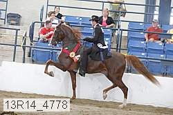13r14_4778 proof