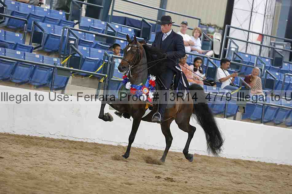 Proof 13r14_4779