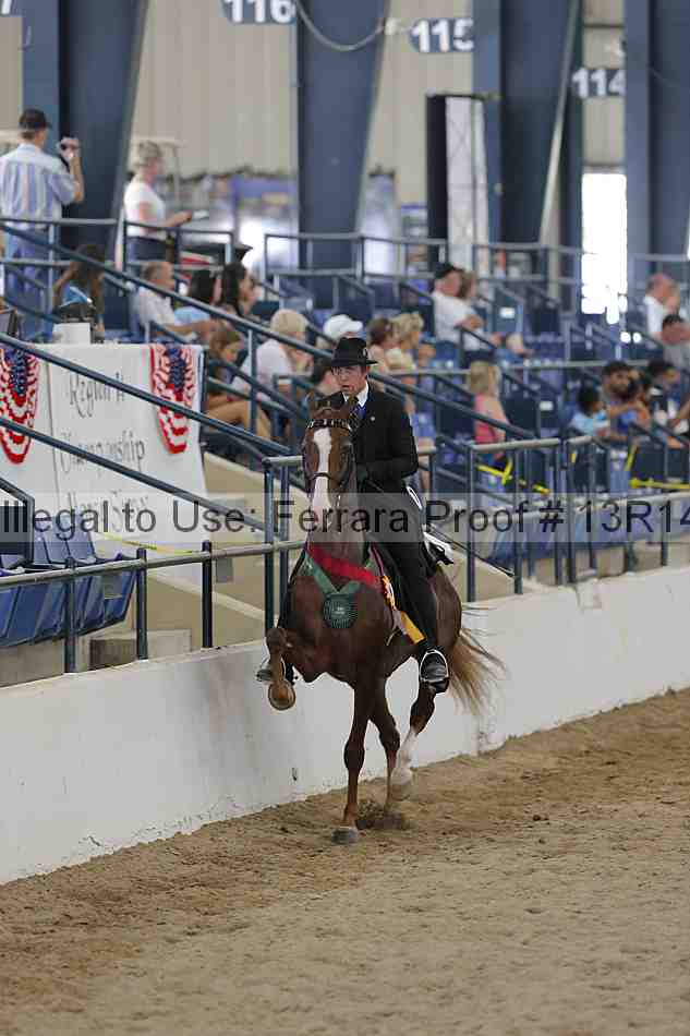 Proof 13r14_4780