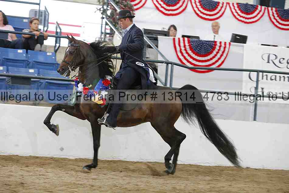 Proof 13r14_4783