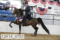 13r14_4783 proof