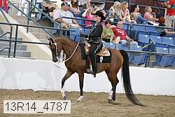 13r14_4787 proof