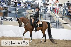 13r14_4788 proof