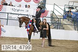 13r14_4799 proof