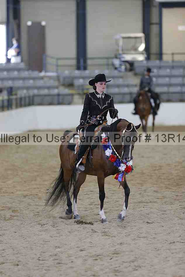 Proof 13r14_4801