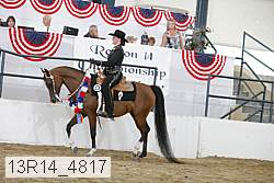 13r14_4817 proof