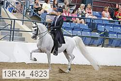 13r14_4823 proof