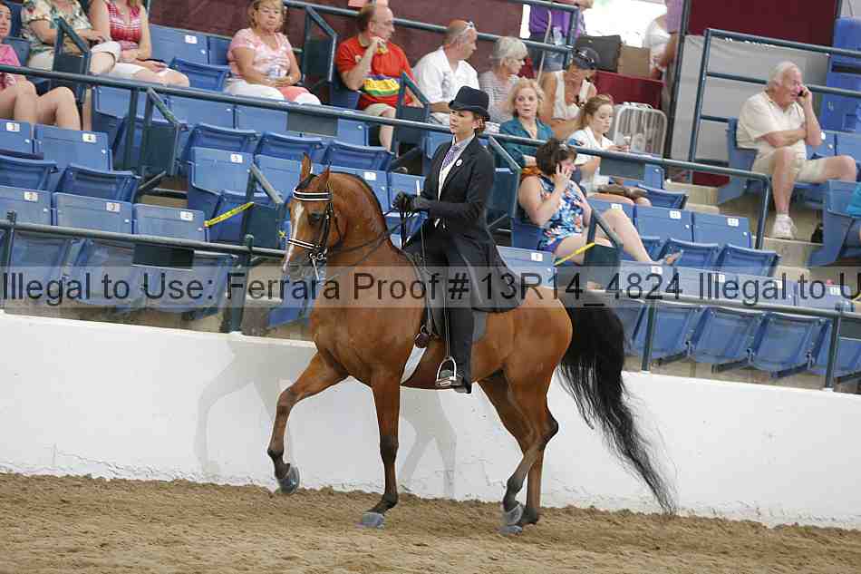 Proof 13r14_4824