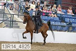 13r14_4825 proof