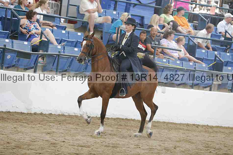 Proof 13r14_4827