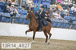 13r14_4827 proof