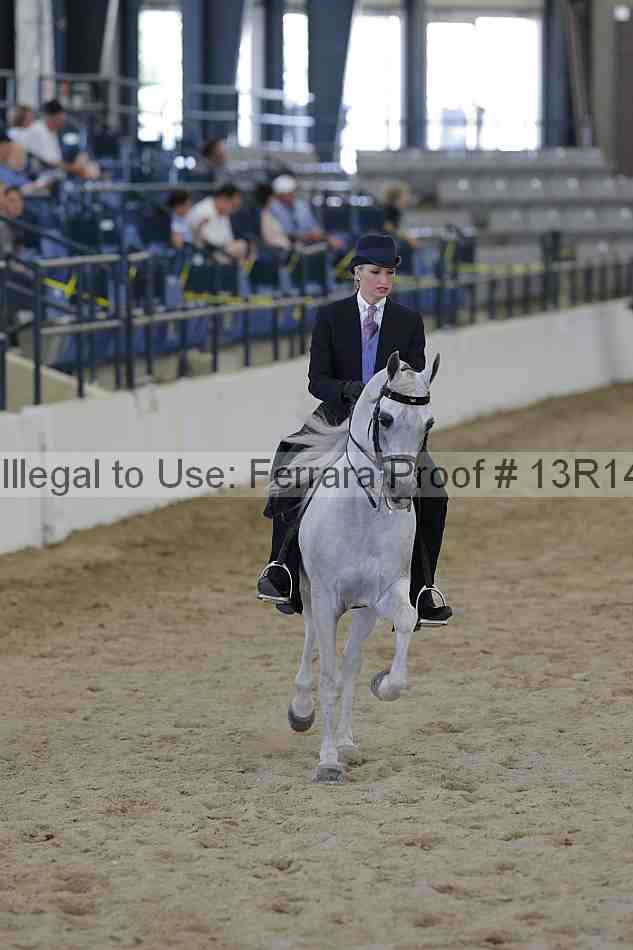 Proof 13r14_4828