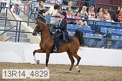 13r14_4829 proof