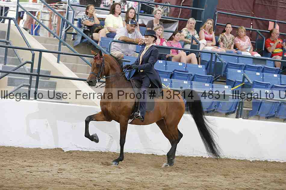 Proof 13r14_4831