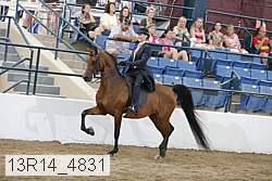 13r14_4831 proof