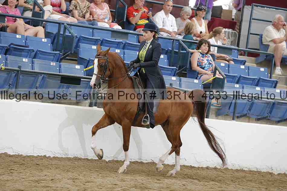 Proof 13r14_4833