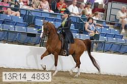 13r14_4833 proof