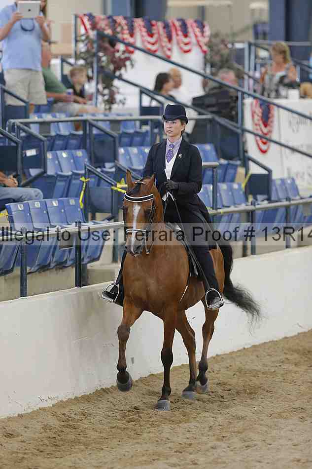 Proof 13r14_4834