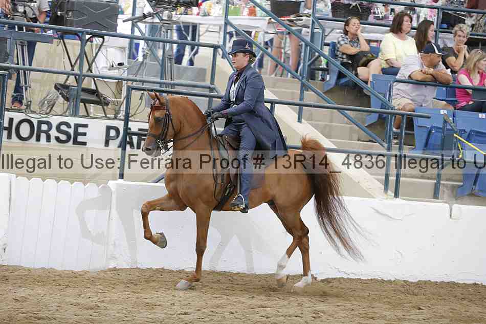 Proof 13r14_4836